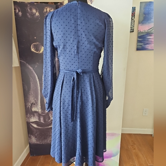 Gal Meets Glam Retro Andrea A-Line V Neck Sheer Balloon Sleeves Swiss Dot Dress - Picture 6 of 14